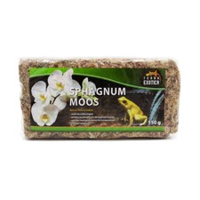 Sphagnum Moos 150 g Terrarium Moos Pflanzen Moosstäbe Orchideen Wasserspeicher