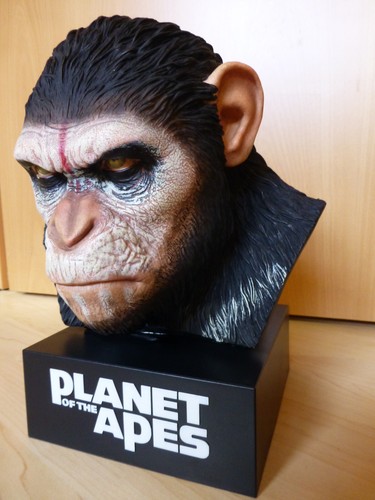 Planet der affen - affen, caesars