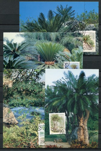 China 2708 2711 palmfarne - nr.2708-2711,