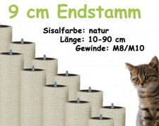 9 cm Endsisalstamm