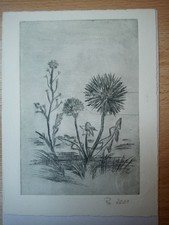 Bleistift Zeichnung signiert Inklusive Rahmen 17,7x22,7x1,4cm Künstler unbekannt