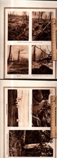 Tranchee - (x26a261),