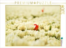 CALVENDO Puzzle Schneeweiße