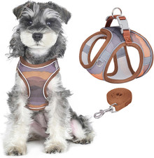 Hundegeschirr-Leinen-Set