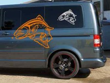 Angeln lachs fisch - angeln,