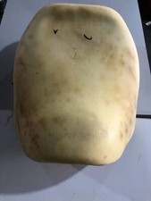 Yamaha XV535 3JB Sitzbank Schaum Sitz Seat XX3029