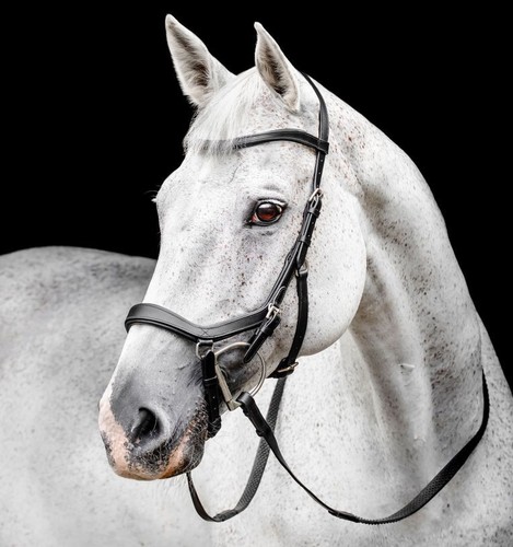 Horseware micklem wettkampf - horseware,