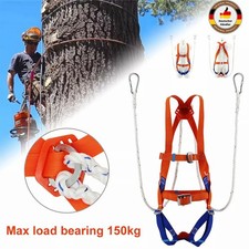 Profi Sicherheitsgurt