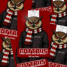 100x Cottbus Aufkleber/
