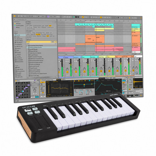 Arturia microlab mk3 midi - microlab,