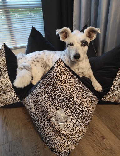 Sternenkissen hundebett - sternenkissen,,