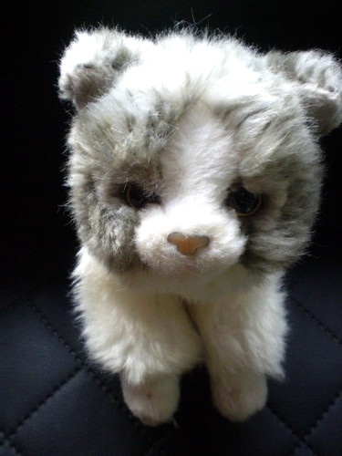 Teddy hermann katze grau - teddy,