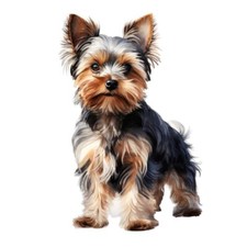 Designer Aufkleber / Sticker -