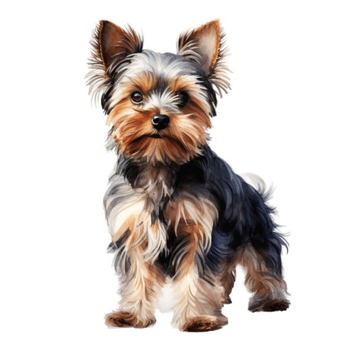 Designer aufkleber sticker - /,