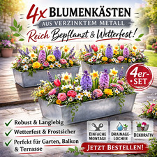 4er Set Zink Paletten
