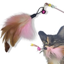 1-5x  Katzenspielzeug