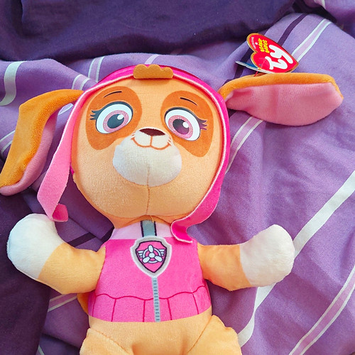 Paw patrol skye - paw,