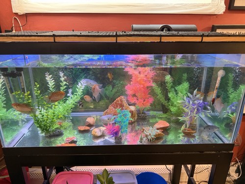 Aquarium