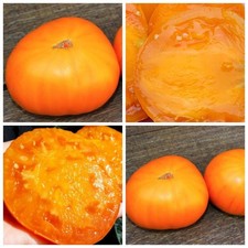 Томат Оранжевый монстр Флэтхед Flathead Monster Orange Семена Samen Seeds