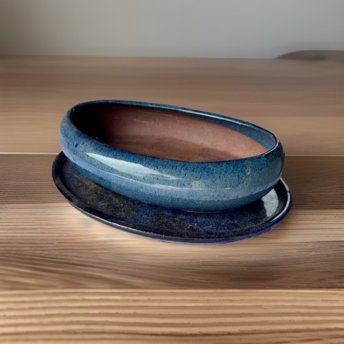 Sehr schöne bonsai - 🌟sehr,