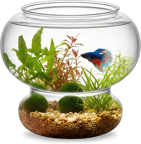 Mini aquarium dekoratives - mini,