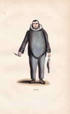 Alaska Eskimo Inuit costumes