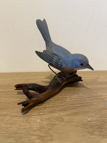 P11 easten bluebird - p11,