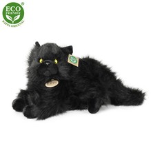 Schwarze katze liegend - liegend, 30