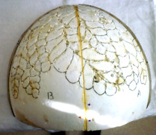 Tiffany-Technik Lampenform E 40510 - Styropor Form Wein Original 1/3 Teile 40 cm