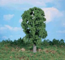 Heki 1987 1 Eiche, 20 cm, für