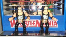 WWF WWE Custom Tag Team