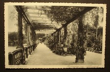 Alte Original Foto AK PK