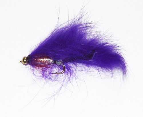 Forellen fliegenfischen - forellen,