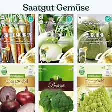 Gemüsesamen Saatgut Zucchini Zwiebel Kohlrabi Karotte Brokkoli Blumenkohl