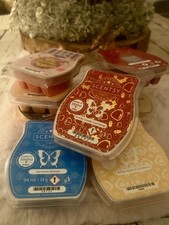 Scentsy Duftwachs Bar Neu Set