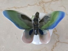 Rosenthal Schmetterling
