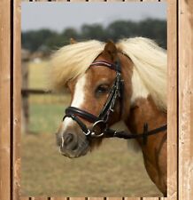 Busse Trense LITTLE,  Shetty