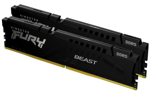 Kingston fury beast - beast,