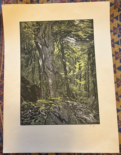 Franz hein farbholzschnitt - hein,