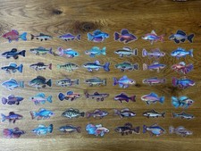 Aufkleber Sticker, Fische, Süß- & Salzwasser, Angeln, 50 Stück, Neu