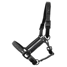 Shetty o Pony Lederhalfter mit Strasssteinen Leder Halfter Showhalfter STRASS