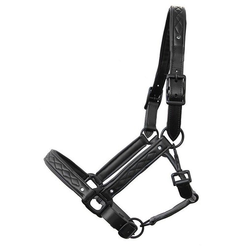 Shetty pony lederhalfter mit - pony,