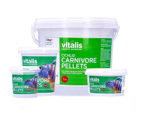 Vitalis rift lake red cichlid - vitalis,