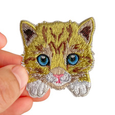 Ginger getigerte Orange Tabby