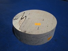 Buche  verstockt Rotbuche