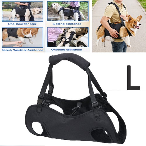 Hunde tragehilfe gehhilfe - hunde,