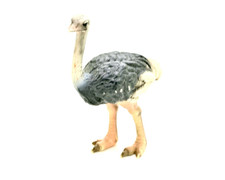Schleich 14325 strauss - schleich, aus
