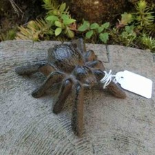 Spinne klein Gusseisen Deko