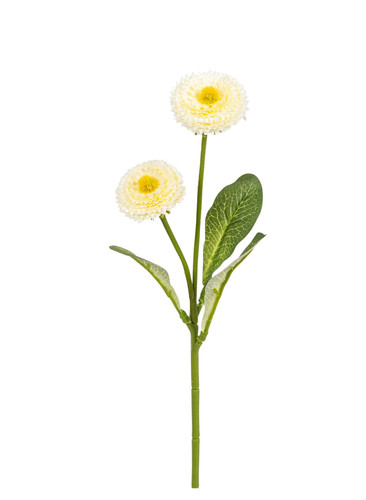 Künstliche bellis - künstliche,