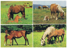 2 Puzzle und 10 Ansichtskarten